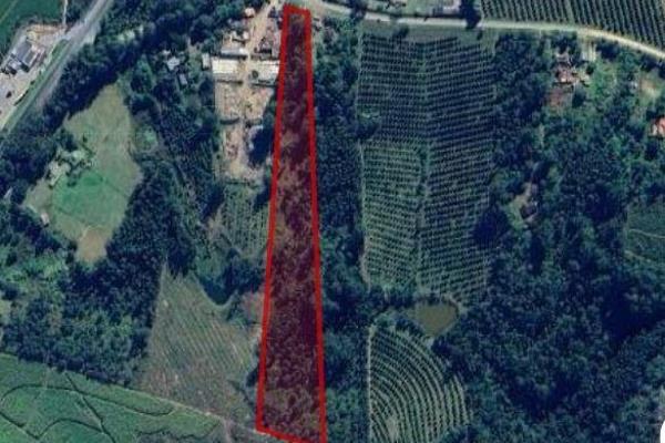 This vacant land, spanning 3.3 hectares, offers a unique opportunity for prospective buyers in the market. The land is relatively ...