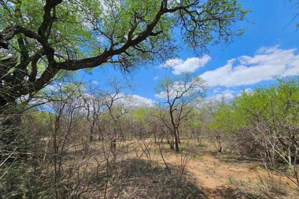 Exclusively marketed by Forder Wildlife Properties, this stand is one of the last remaining in the sought-after Raptors View Wildlife ...