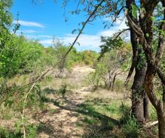 Vacant Land / Plot for sale in Moditlo Wildlife Estate