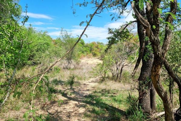 Situated on the Hoedspruit portion of Moditlo Wildlife Estate, this stand is situated along the riverbank, creating the perfect space ...