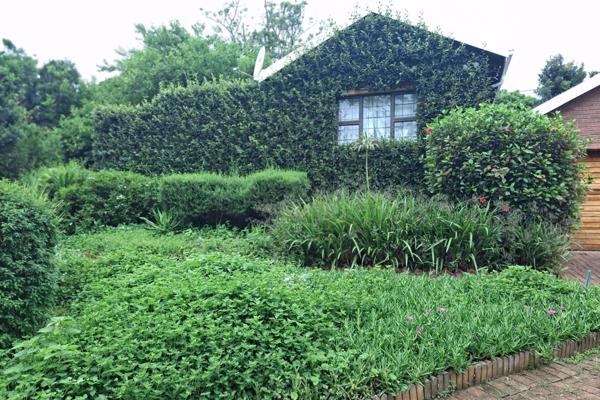 This quaint modern 1 bed cottage is situated  the heart of kloof.  It is on a very large shared property surrounded  lush gardens yet ...