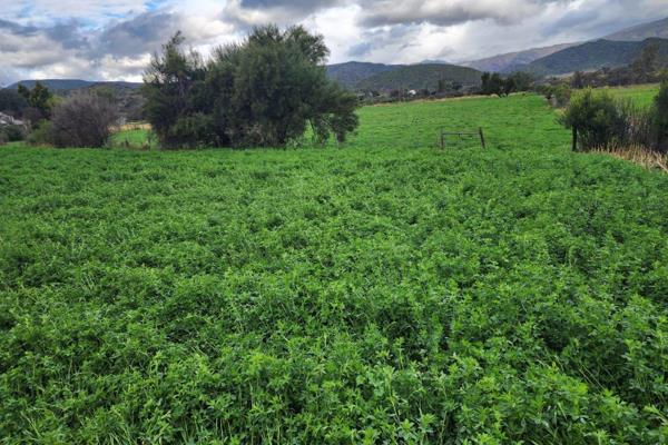 This  21 hectare property with about 1.6ha of lucerne, near De Rust, offers a variety of opportunities.
Lucerne was newly planted ...