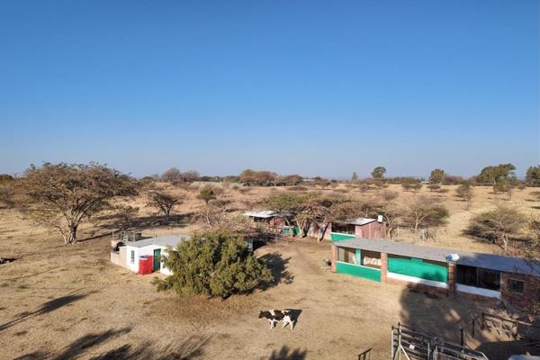 For Sale: Fully-Equipped Smallholding in Grootvlei
PROPERTY FEATURES:

Main ...