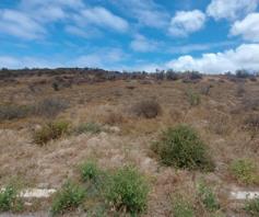 Vacant Land / Plot for sale in Saldanha Rural