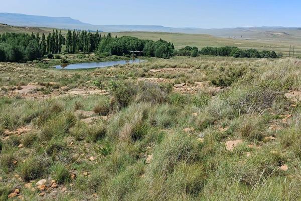 This strategically located cattle and sheep farm is situated approximately 3 km from the N6, ideally positioned halfway between ...