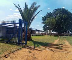 Farm for sale in Witfontein