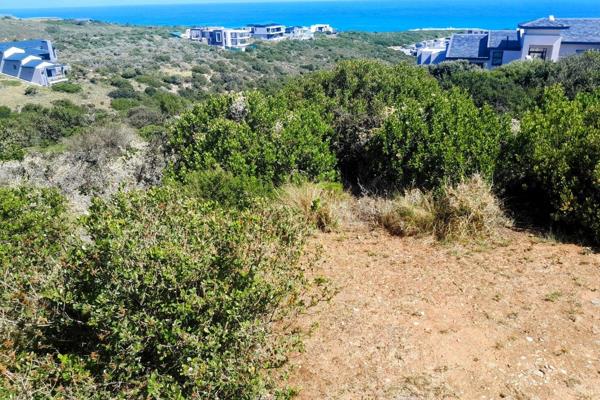 Stand available in the prestigious Pinnacle Point Golf Estate. This prime piece of land spans a generous 1220sqm, providing ample space ...