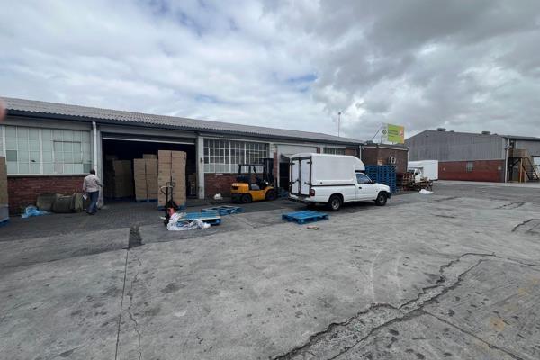 Secure Warehouse Space in Kasselvlei

Ideal for storage and distribution, this warehouse ...