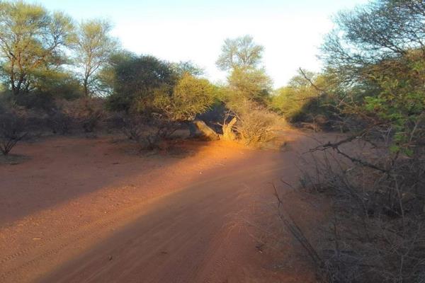 This 59.9572ha, located 48km from Laphalale (Ellisras) weekend spot with lots of potential is just waiting for the right person to be ...