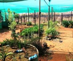 Farm for sale in Strydfontein AH