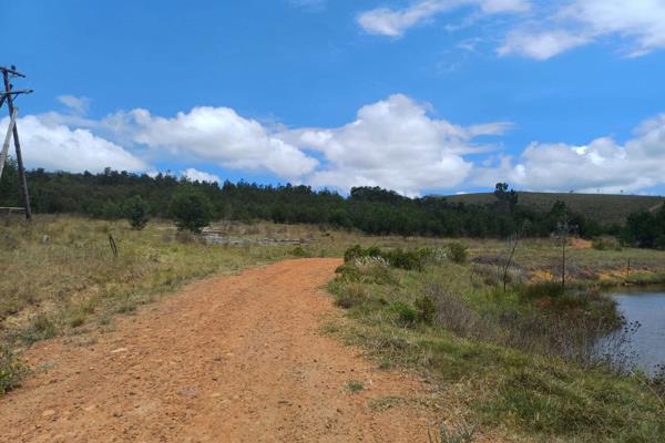 Located just 40 km from Humansdorp on the scenic R62 to Kareedouw, this picturesque 132-hectare farm offers a fantastic opportunity for ...