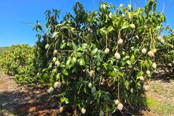 A bountiful agricultural paradise 
discover a farm that embodies excellence in farming and sustainable living.  This impeccably managed ...