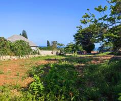 Vacant Land / Plot for sale in Clansthal