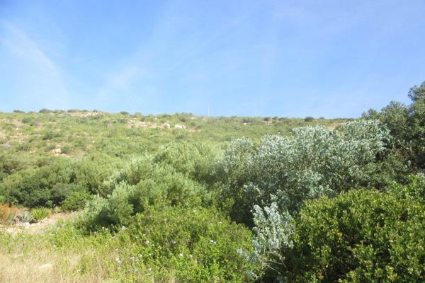 Centrally situated between Mossel Bay  and Hartenbos in a lovely Village .  Vogelsang Landgoed has lovely views of the mountains ...