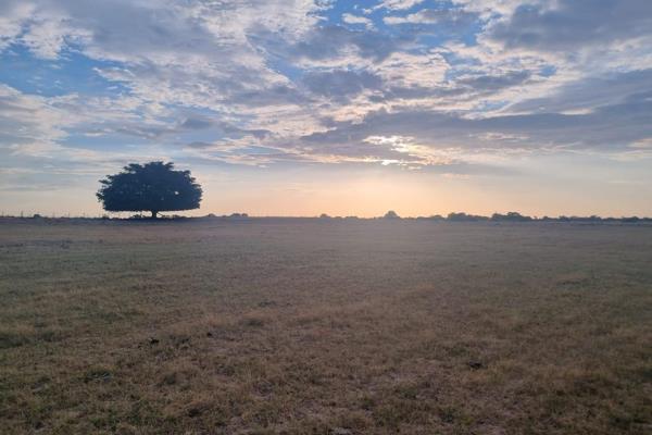 Discover the potential of this expansive farm, ideal for both agricultural pursuits and tourism.

Agricultural Use:
- 250 hectares ...