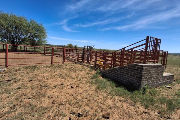 A special cattle farm in the Vryburg district. This farm weans a lot of heavy calves. The farm has excellent grass cover. The farm has ...