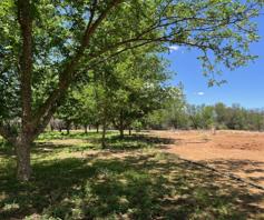 Vacant Land / Plot for sale in Orania