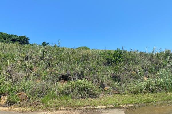 No Transfer Duty. Large stand allows for 7 Opportunities to build in a sectional title development. The property is situated in Palm ...