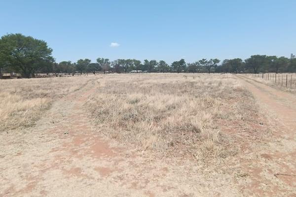 2.65 ha property north of pretoria in mont lorraine
property got a big shed
cattle /goat/sheep or pig facilitys
a bore hole. Camps for ...