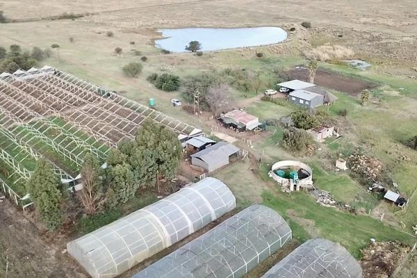 Step into the world of farming with this well-equipped 21-hectare property, perfectly set up for both crop cultivation and livestock ...