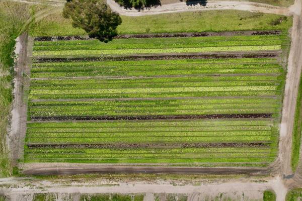 Nestled in a serene landscape, this 43-hectare farm offers a perfect blend of natural beauty and agricultural potential. Spanning ...