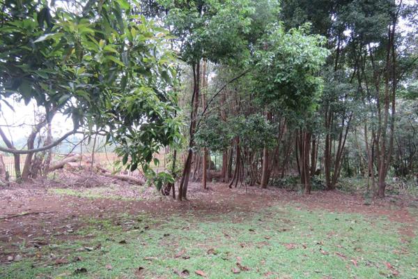 Residential land 1920 sq/m for sale in the most sought-after area of Chelmsfordville in Gillitts. Build your dream home on this ...