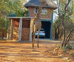 House for sale in Marloth Park