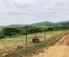 Farm for sale in Nseleni