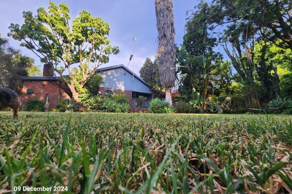 Imagine pulling up to a sun-drenched corner property where possibility dances around ...