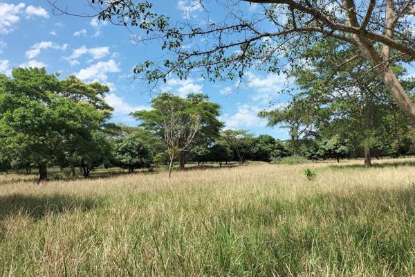 Plot for sale in Lushof.

Exceptional opportunity to own a 2-hectare plot, located in Lushof, Tzaneen.

This land is ideally suited for ...