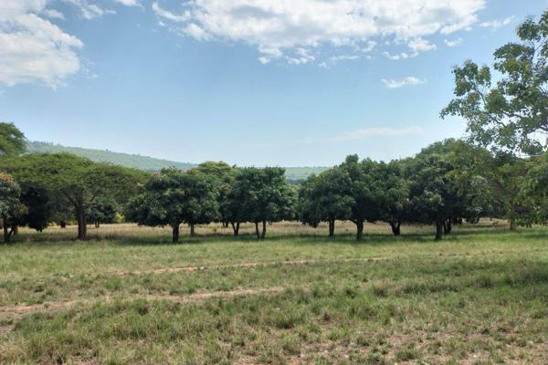 Plot for sale in Lushof.

Exceptional opportunity to own a 2-hectare plot, located in Lushof, Tzaneen.

This land is ideally suited for ...