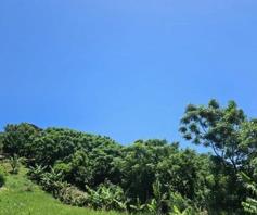 Vacant Land / Plot for sale in Avoca Hills