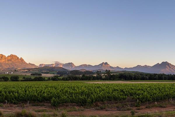 Welcome to Nooitgedacht Village, where craftsmanship and elegance adorn every corner.

In this recently built four-bedroom house, you ...