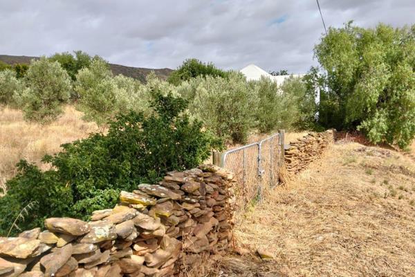 Beautiful sloped vacant erf with established olive trees overlooking Koringberg and ...