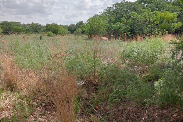 Beautiful Vacant land for sale in Deneysville at the Vaaldam.

With peace and quite surroundings this will be the perfect start to ...