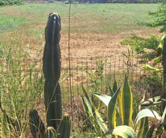 Vacant Land / Plot for sale in Zuurfontein