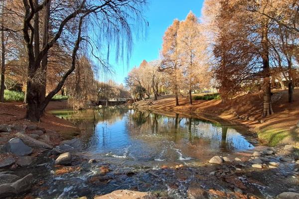 Upmarket Office to Let in Weltevreden Park 

Beautiful A grade office space to let in ...