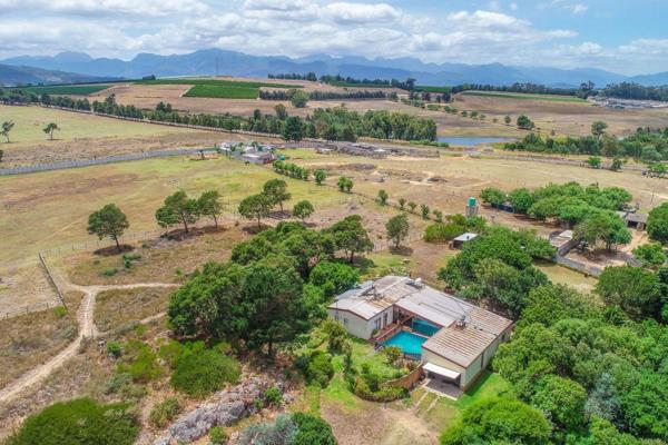 Located in the picturesque area of Klapmuts, this exceptional equestrian estate offers a rare opportunity for investors and developers ...