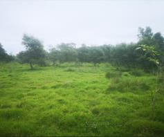 Vacant Land / Plot for sale in East London Rural