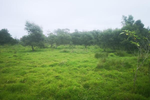 FOR SALE BY OWNER
8,5haVacant Land for Development In Coveridge, East London ...