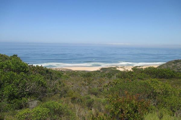 Springerbaai is an eco-friendly coastal development of approximately 438 hectares in extent, located along the Southern Cape Garden ...