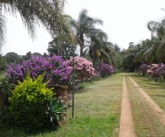 Farm for sale in Louis Trichardt Rural