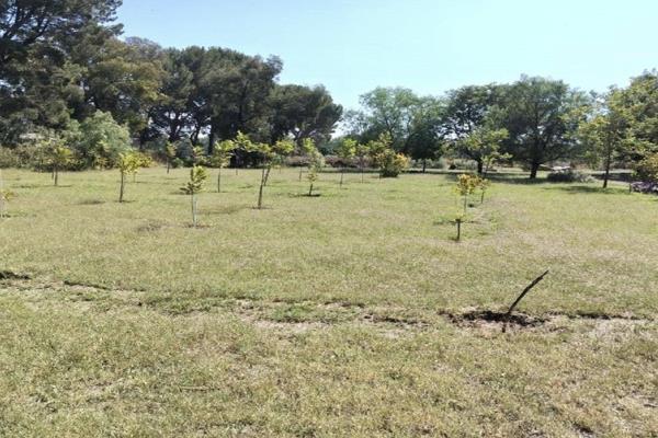 Vacant LAND in Mantevrede,  Vanderbijlpark,  planted with pecan nut trees, has a strong borehole and staff quarters on the property 