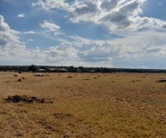 Farm for sale in Schweizer Reneke