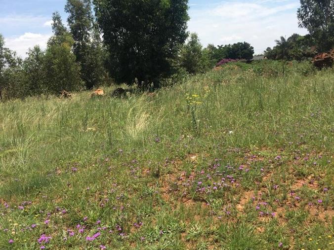 Vacant Land Plot For Sale In Clayville