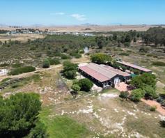 Farm for sale in Cape Farms