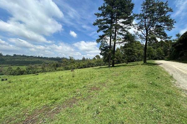 Two adjacent portions of vacant land only 5km from Hilton. Partially forested and partially open veld, this tract of land lends itself ...