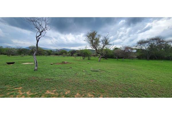 Cattle and Game Farm – Rooiberg – Leeupoort – 3873 ha
Zoning:Agricultural
VAT:Price excludes VAT.  Vat neutral transaction subject to ...