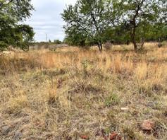 Vacant Land / Plot for sale in Ackerville