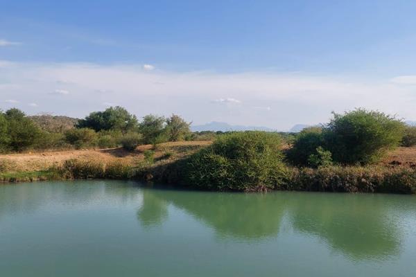 Stunning stand on the floodplane, if privacy and view is important to you - then this is your stand.  Elephant Rock Eco Estate offers a ...